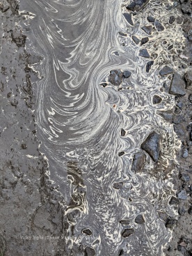 Swirling pollen in the puddles.